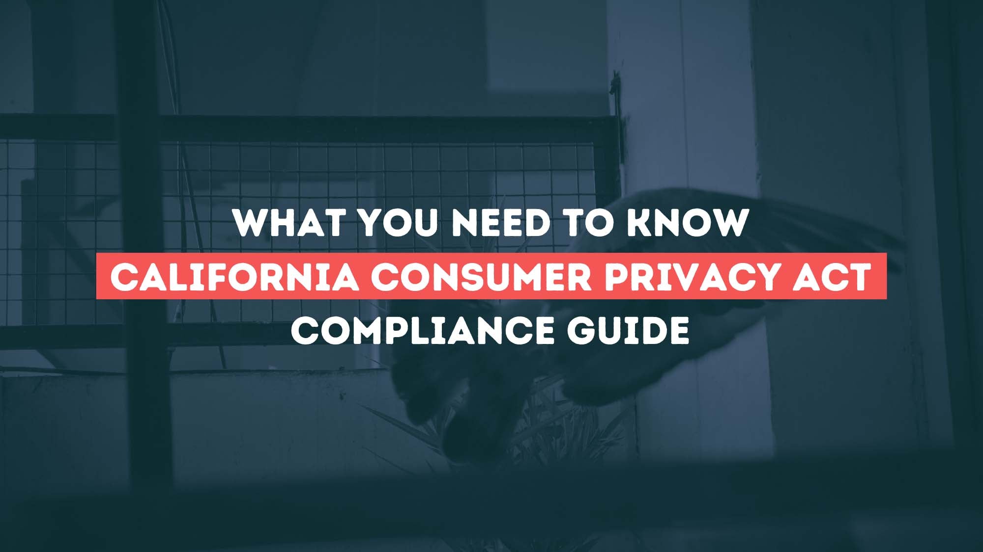 What You Need To Know California Consumer Privacy Act Compliance Guide